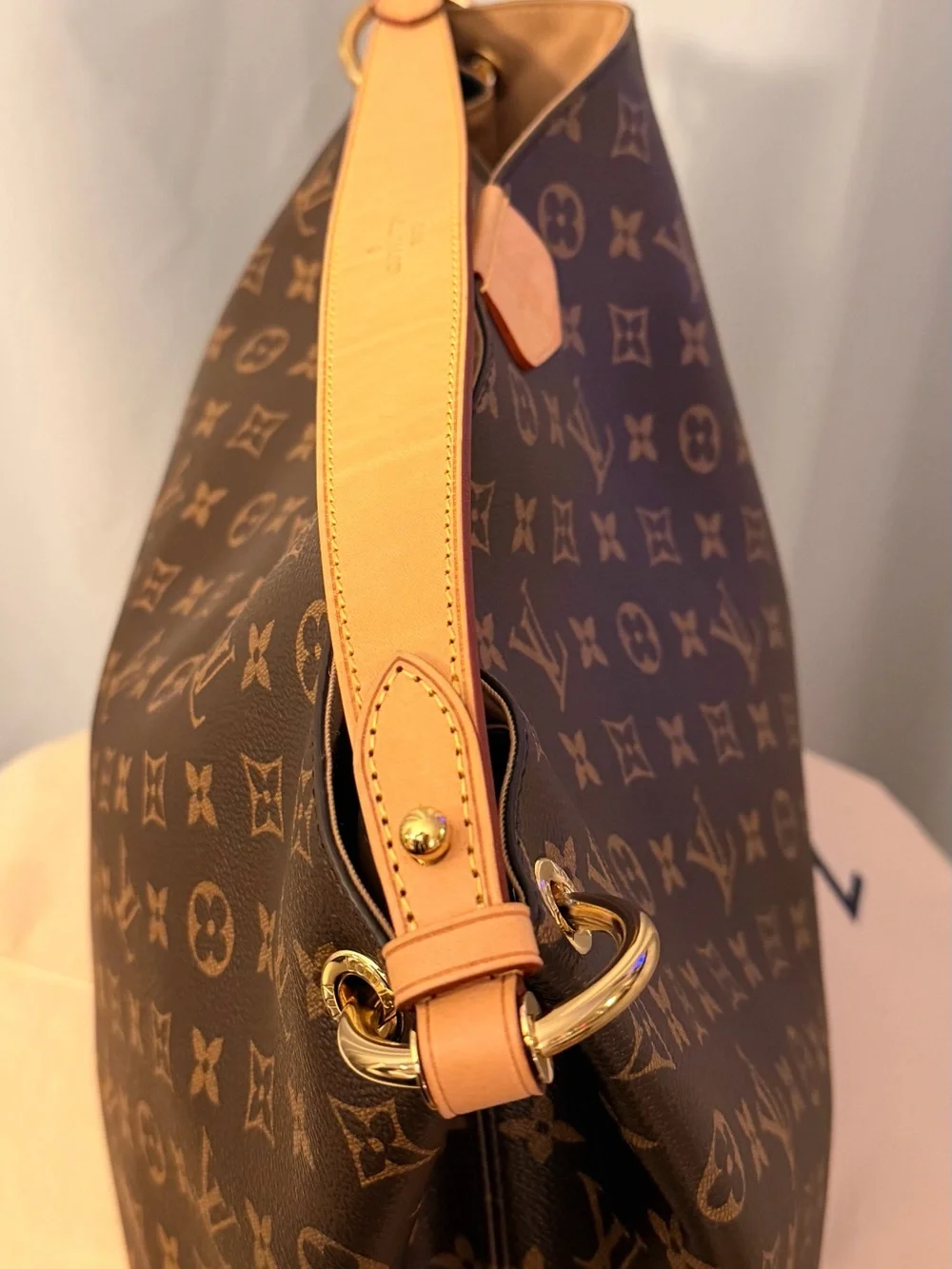Louis Vuitton Monogram Canvas Shoulder Hobo in Brown and Tan